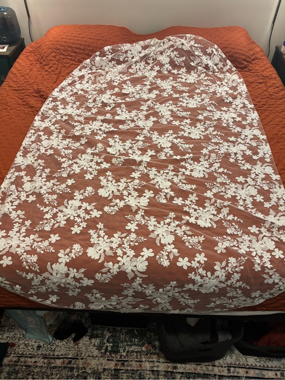 Sara Gabriel Micaela Lace Veil in Natural/Ivory - Picture 5 of 8